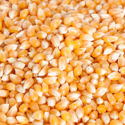 Butterfly Popcorn Kernel Kit with Oil & Salt – 21.2 oz (600 g)