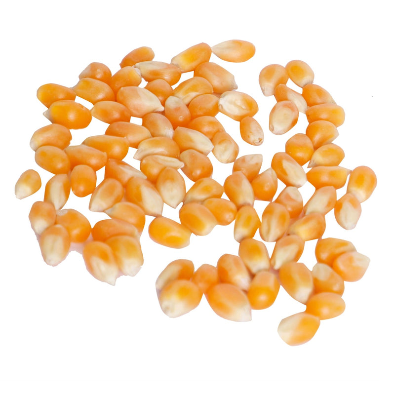 Popcorn Kernels Tin – 21.2 oz (600 g)