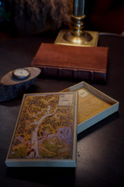 daak-vaak-postcard-box