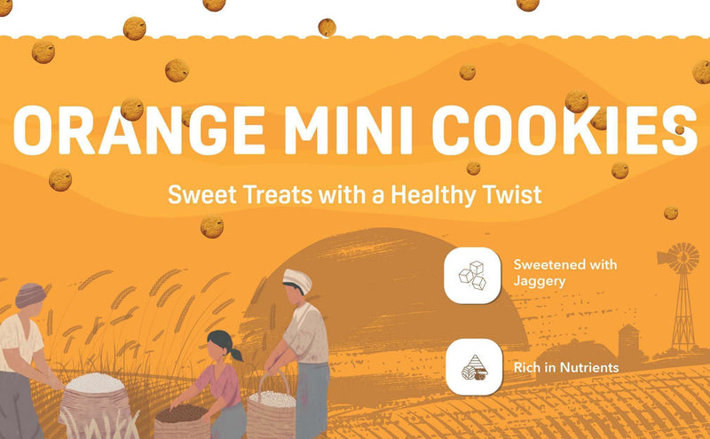 Natible Natible Probiotic Orange Mini Cookies Variety Pack – Wholesome Snack Cookies (5.29 oz)