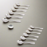 Stainless Steel Set of 12 Spoons