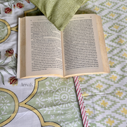 aenak-mint-green-yellow-handblock-bedsheet-dohar-combo-set