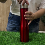 Premium Stainless Steel Pink Fridge/Refrigerator Water Bottle – Water Bottle