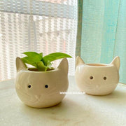 local-kala-crimsy-planters-set-of-2