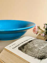 Nurture India Have It All Pasta Bowl Bright Blue