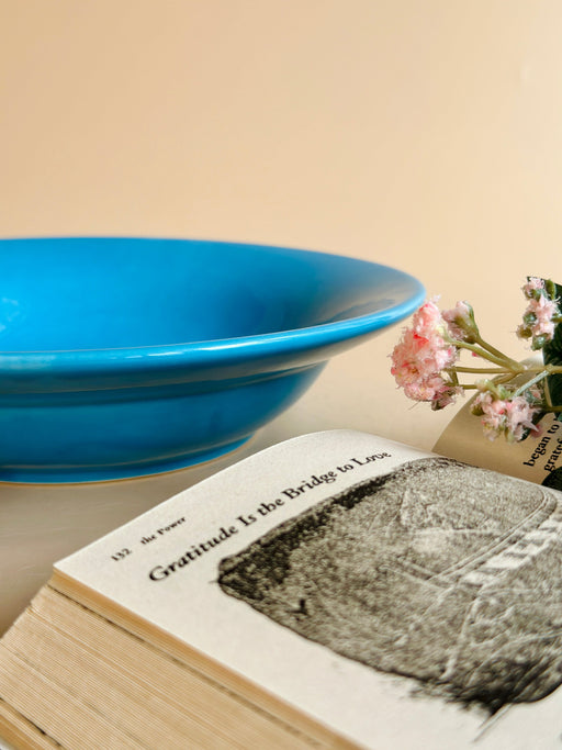 Nurture India Have It All Pasta Bowl Bright Blue