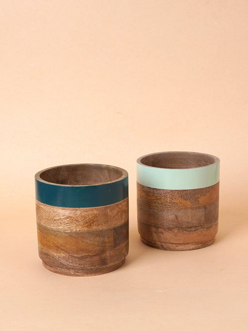 Nurture India Light Dark Green Planter Combo