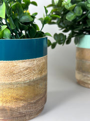 Nurture India Light Dark Green Planter Combo