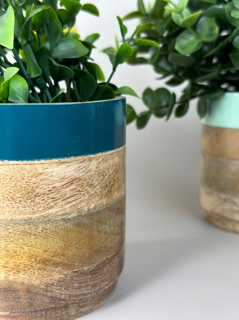 Nurture India Light Dark Green Planter Combo