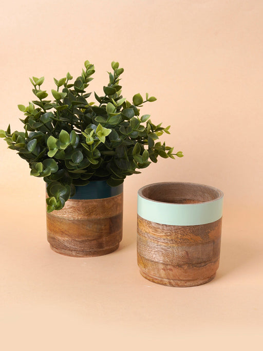 Nurture India Light Dark Green Planter Combo