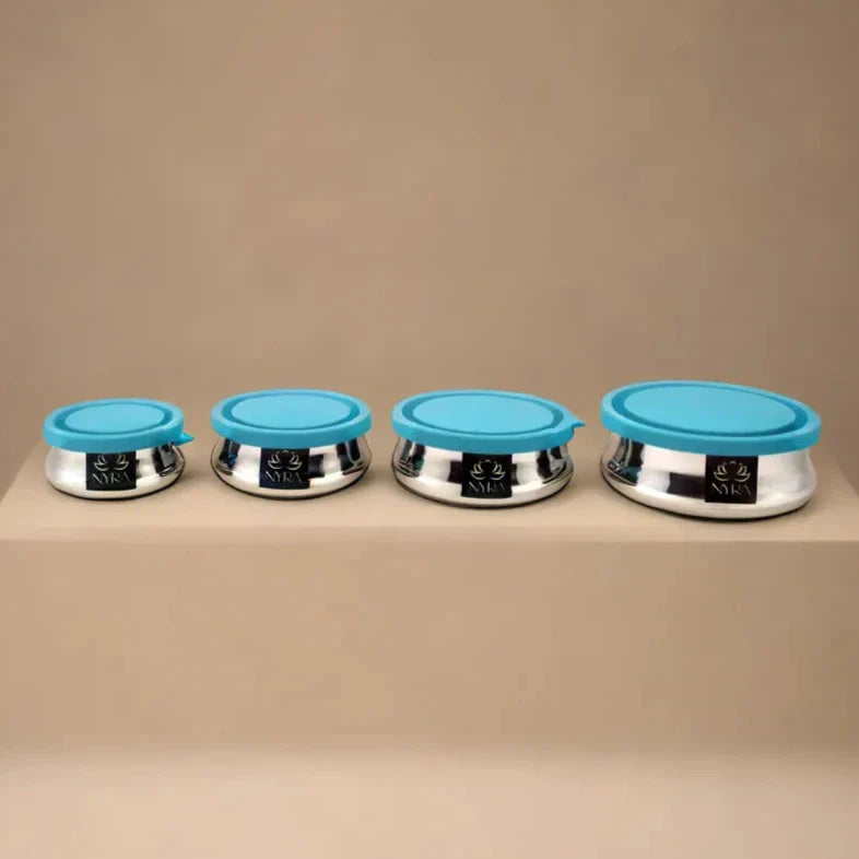 Premium Stainless Steel Food Storage Container – Storage Container