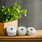 Stainless Steel Square Coriander Storage Container – Storage Container