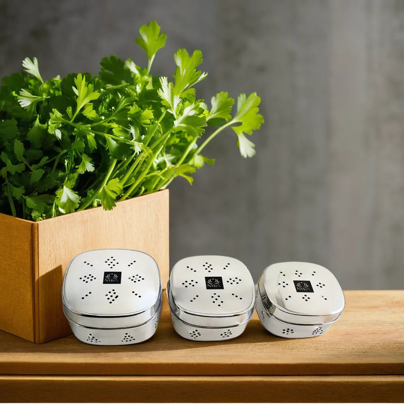 Stainless Steel Square Coriander Storage Container – Storage Container