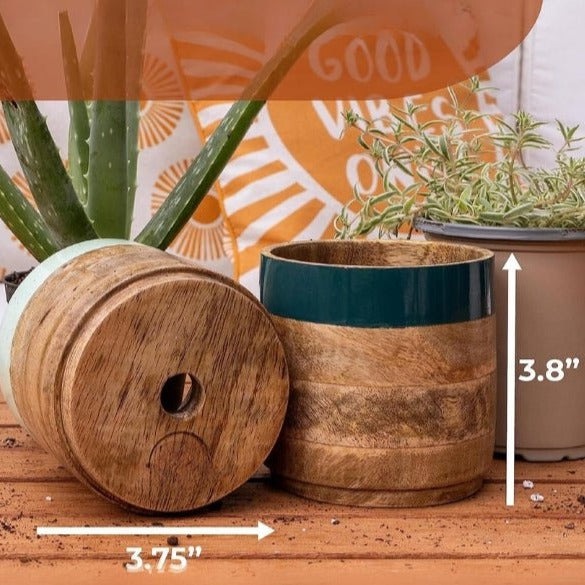 Nurture India Light Dark Green Planter Combo