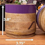 Nurture India Light Dark Purple Planter Combo