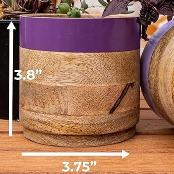Nurture India Light Dark Purple Planter Combo