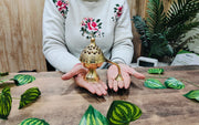 Pure Brass Loban Diya with Handle – Kitchen Utensil