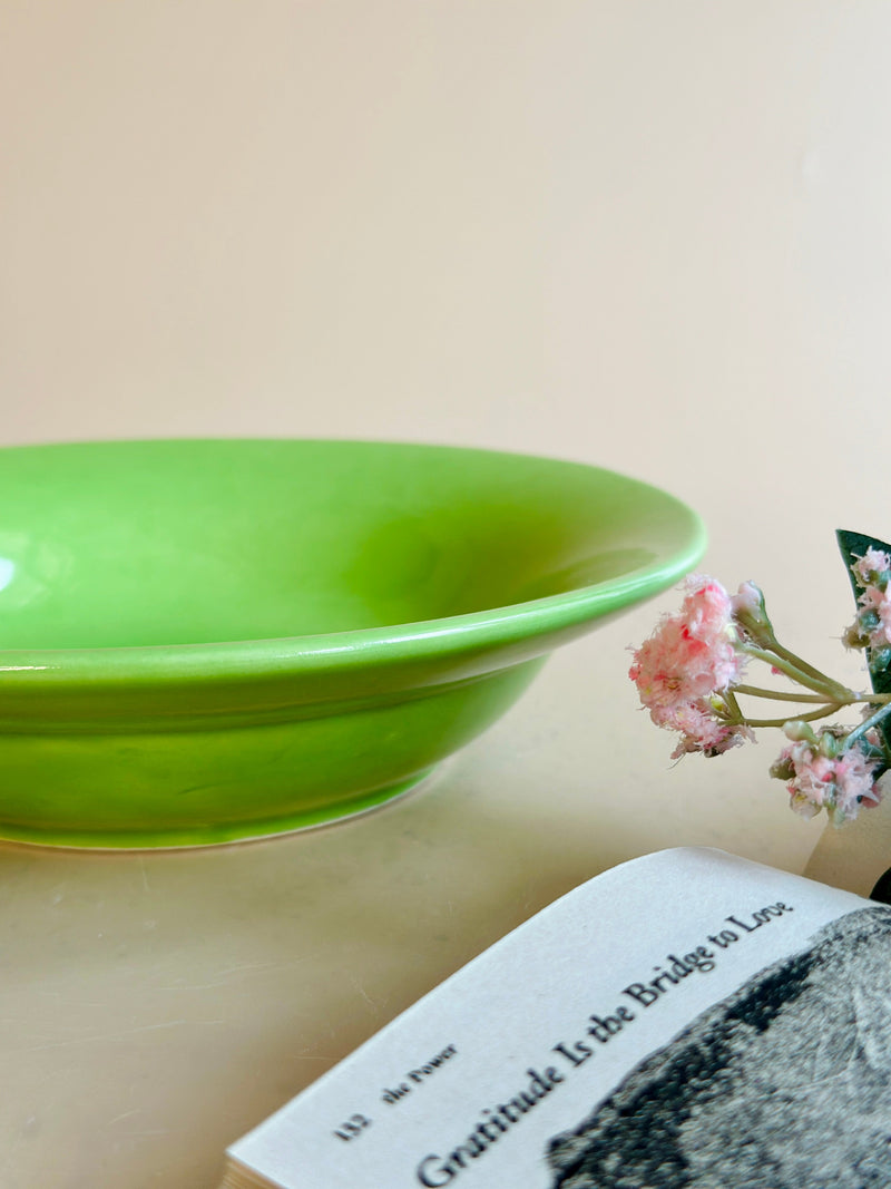 Nurture India Have It All Pasta Bowl Parrot Green