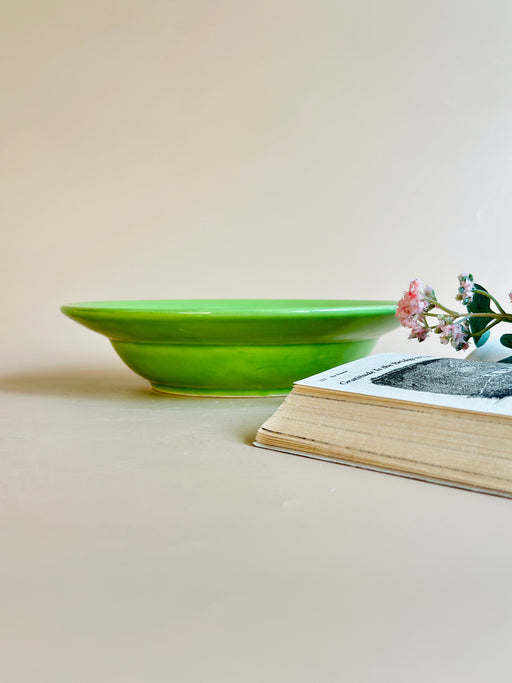 Nurture India Have It All Pasta Bowl Parrot Green