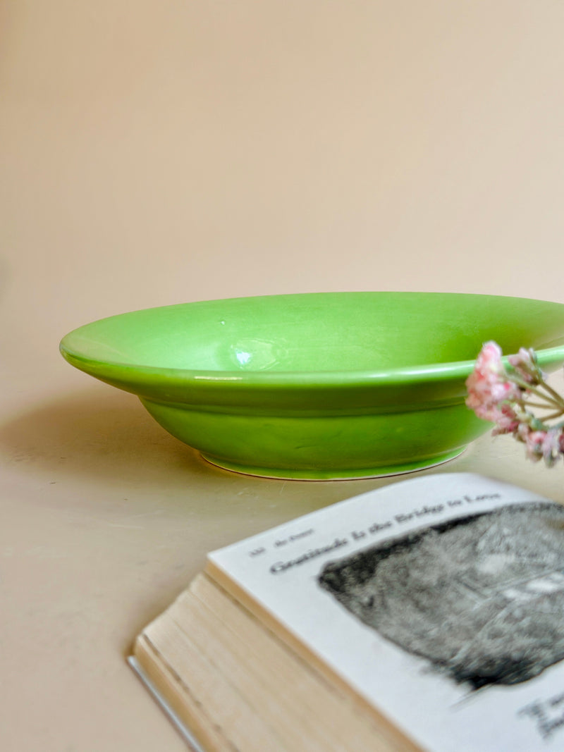 Nurture India Have It All Pasta Bowl Parrot Green