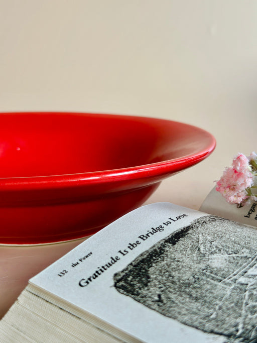 Nurture India Have It All Pasta Bowl Bright Red