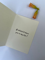 daak-vaak-greeting-card-set-of-10