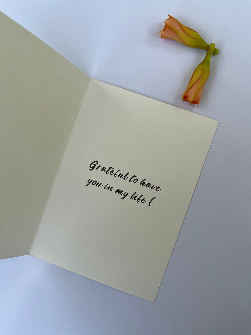 daak-vaak-greeting-card-set-of-10