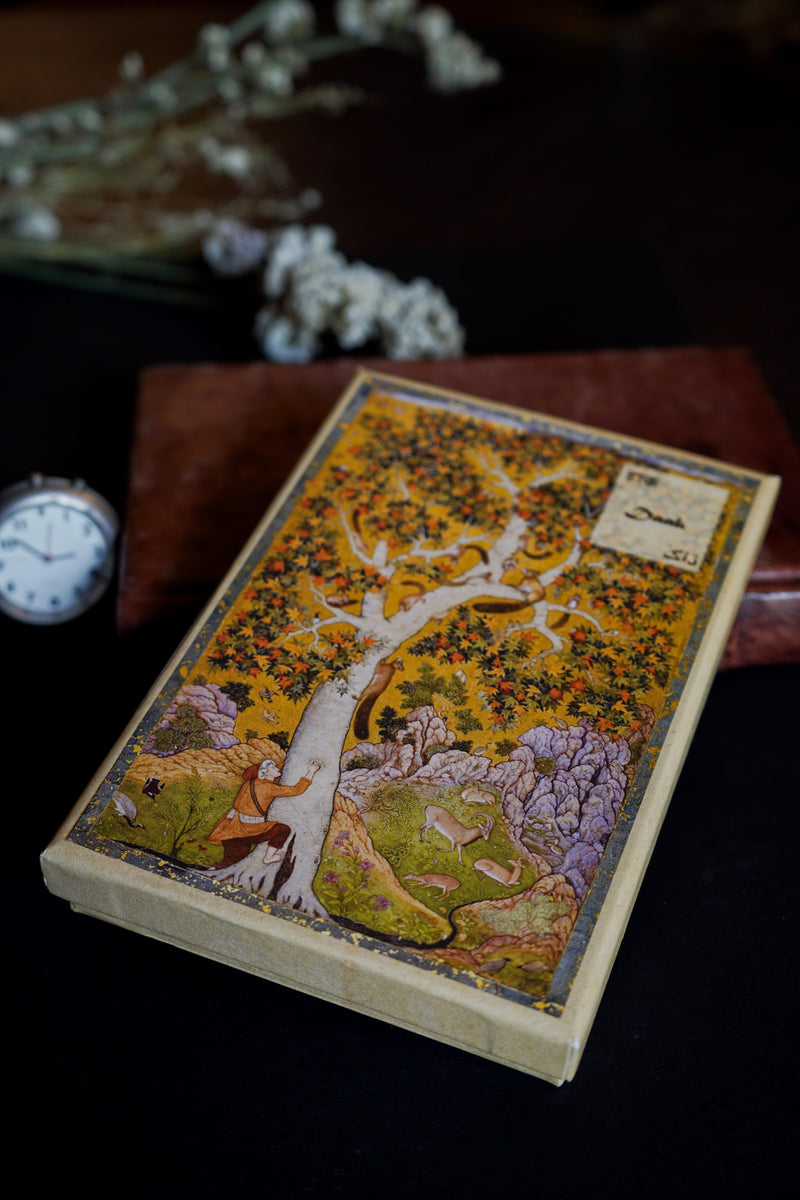 daak-vaak-postcard-box