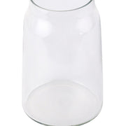 Nurture India Transparent Glass Terri Vase