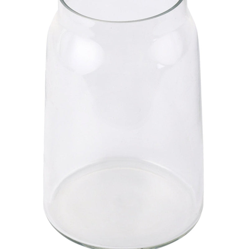 Nurture India Transparent Glass Terri Vase