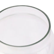 Nurture India Transparent Glass Terri Vase