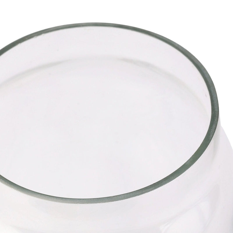 Nurture India Transparent Glass Terri Vase