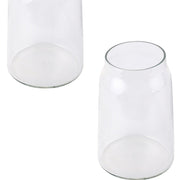 Nurture India Transparent Glass Terri Vase
