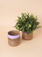 Nurture India Light Dark Purple Planter Combo