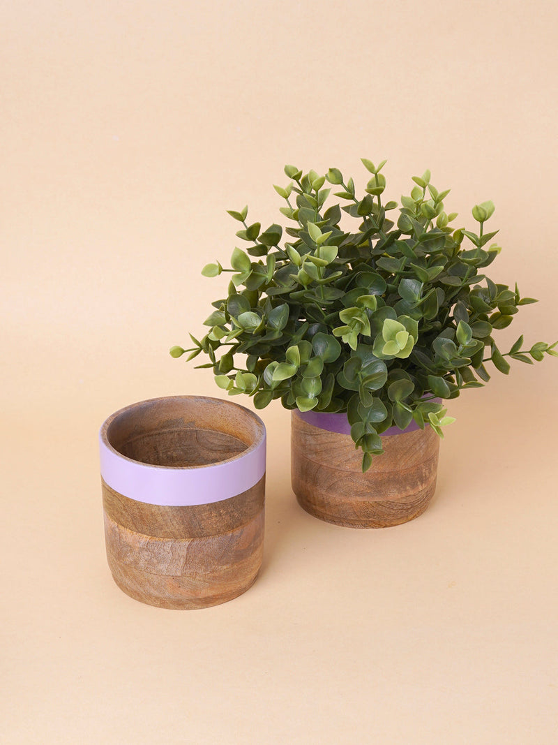 Nurture India Light Dark Purple Planter Combo