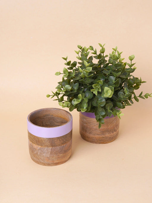 Nurture India Light Dark Purple Planter Combo