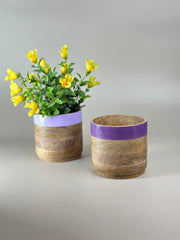 Nurture India Light Dark Purple Planter Combo