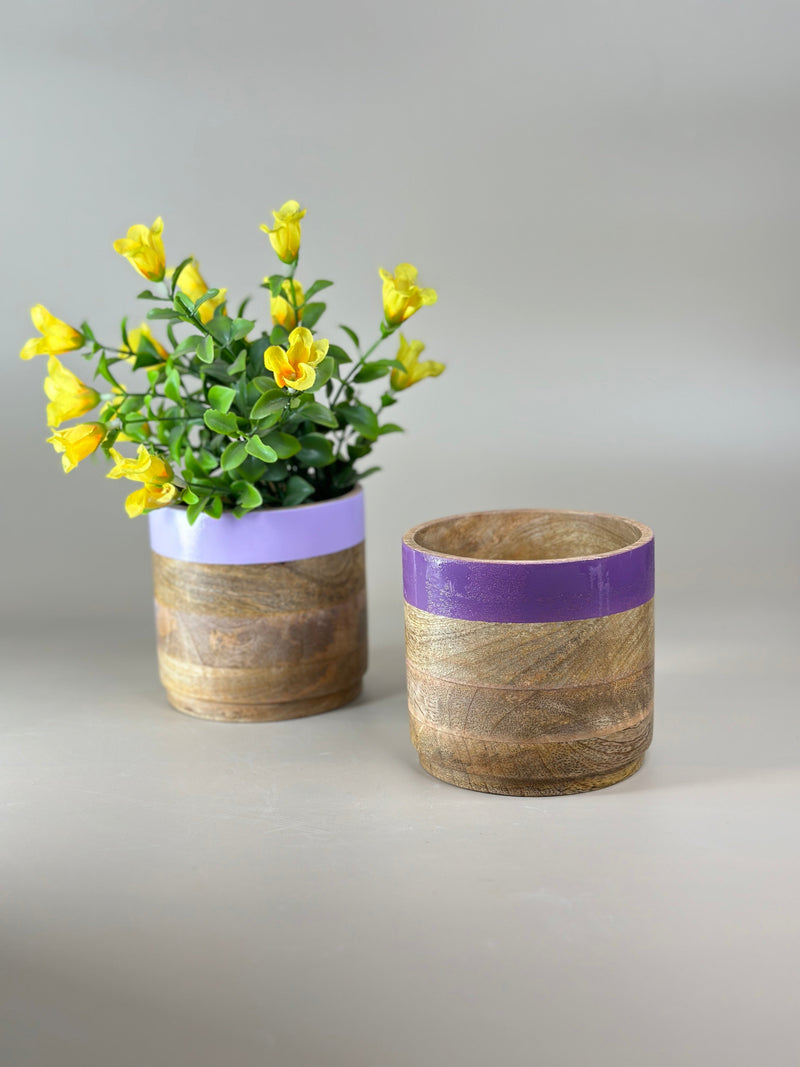 Nurture India Light Dark Purple Planter Combo