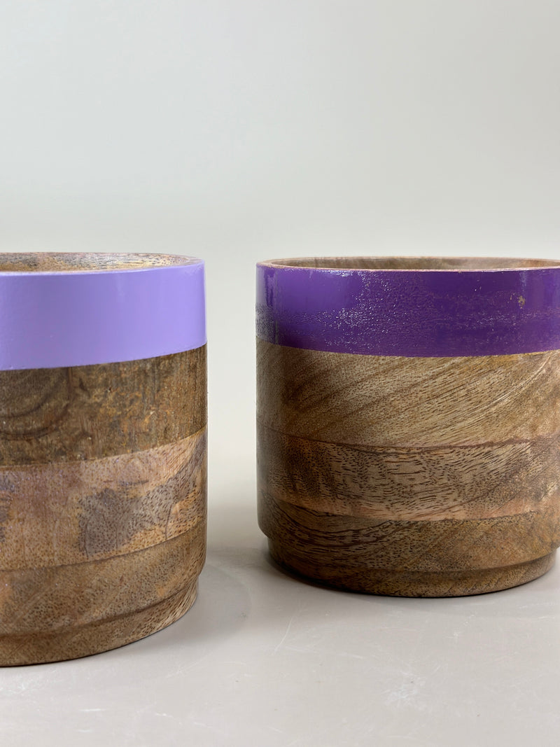 Nurture India Light Dark Purple Planter Combo
