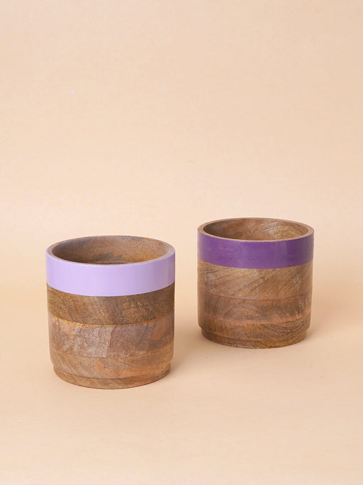 Nurture India Light Dark Purple Planter Combo